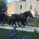 Le Petit Chateau Des Cedres