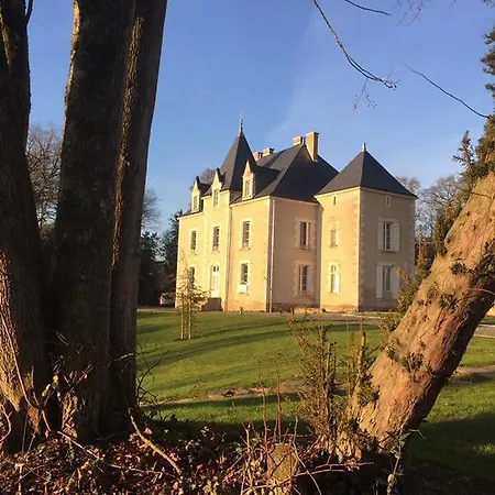 Le Petit Château Des Cedres 3* Mouchamps