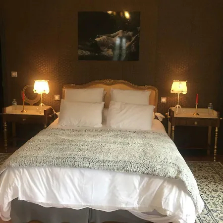 Le Petit Chateau Des Cedres Bed & Breakfast