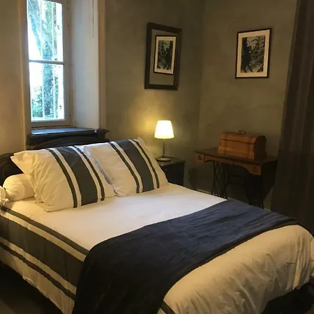 Bed & Breakfast Le Petit Chateau Des Cedres Mouchamps