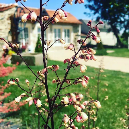 Le Petit Château Des Cedres Couette-café Mouchamps