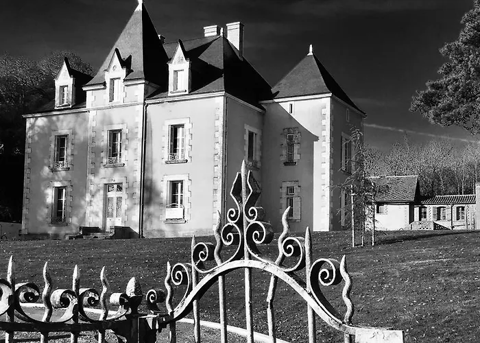 Le Petit Chateau Des Cedres بيت للعطل