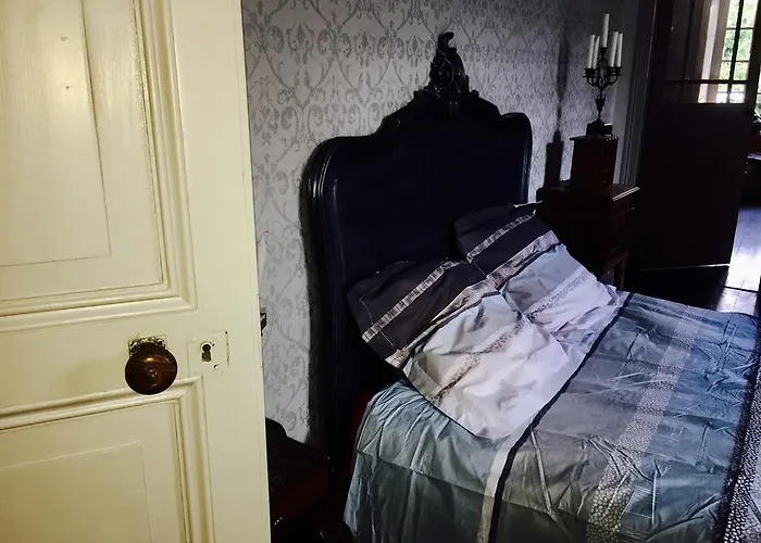 Le Petit Chateau Des Cedres Mouchamps