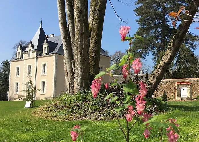 بيت للعطل Le Petit Chateau Des Cedres Mouchamps
