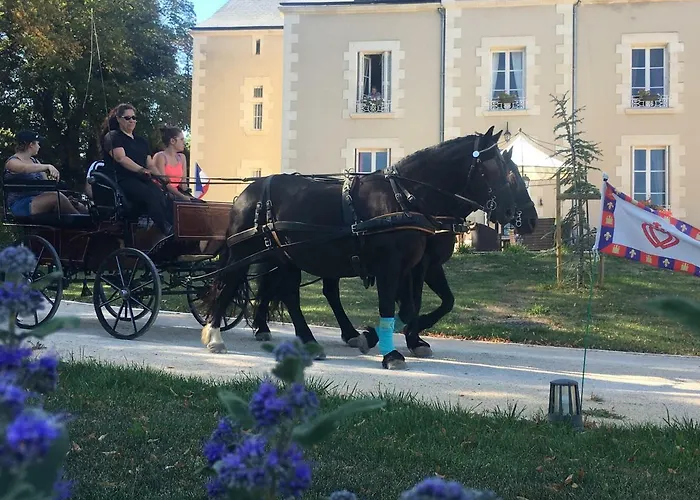 Le Petit Chateau Des Cedres