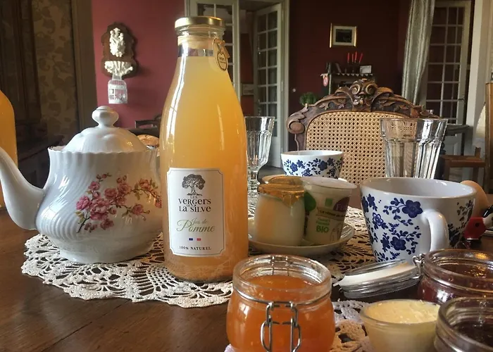 Le Petit Chateau Des Cedres Mouchamps