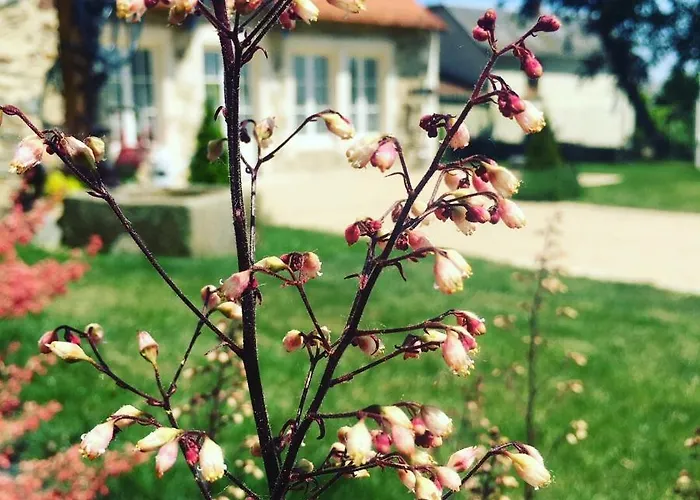 Le Petit Chateau Des Cedres Сasa de vacaciones Mouchamps